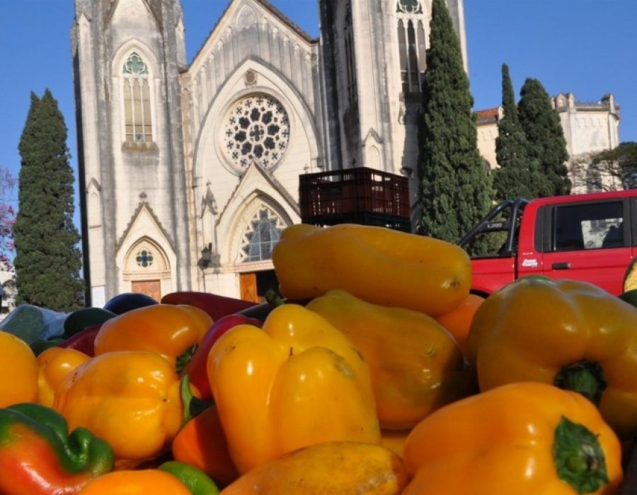 238b5f1e99766b366274aeab2a4000a9