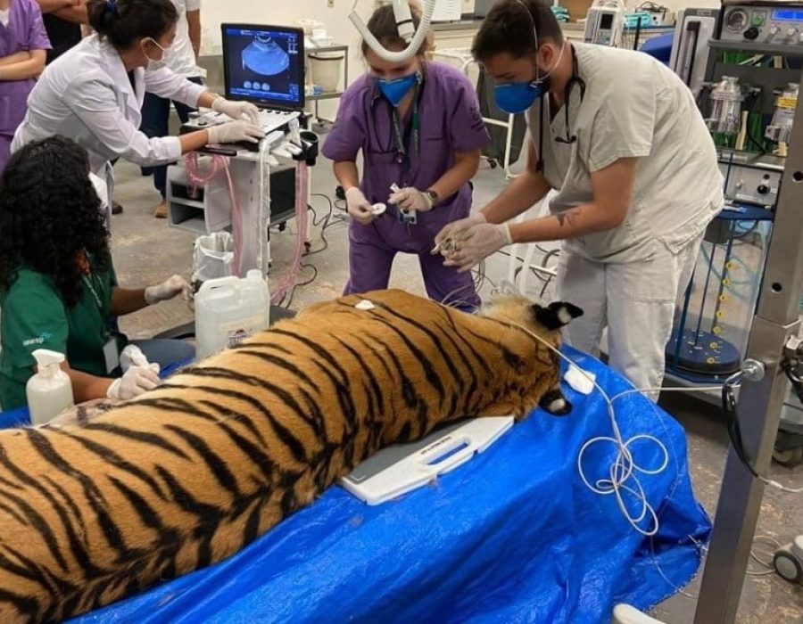 252550848_428518932280171_8074898658985286408_n