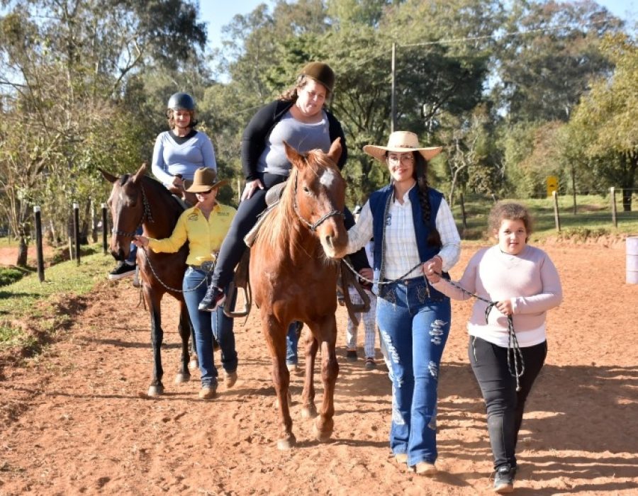 2611c15aa73d775f0592ddf532a8ee16