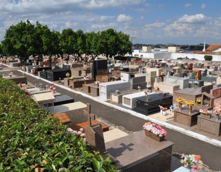 2e25e8f76d141f46395de6efa2aa263b