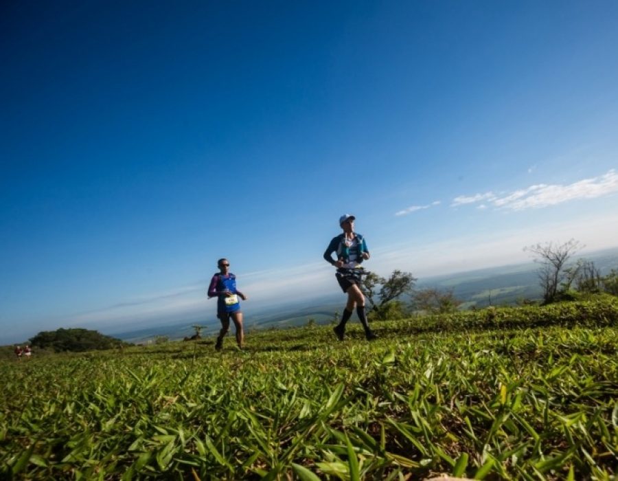 3f2e80e84aa4c7af84850c5ae24bce08