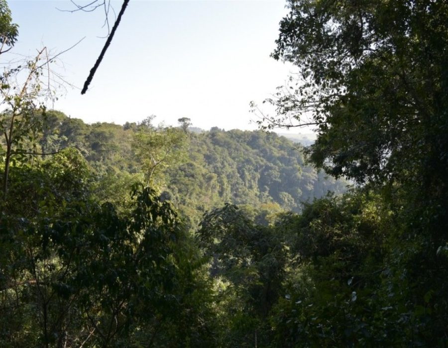 3fab7c96910d3b9bb506b4b802c4788a