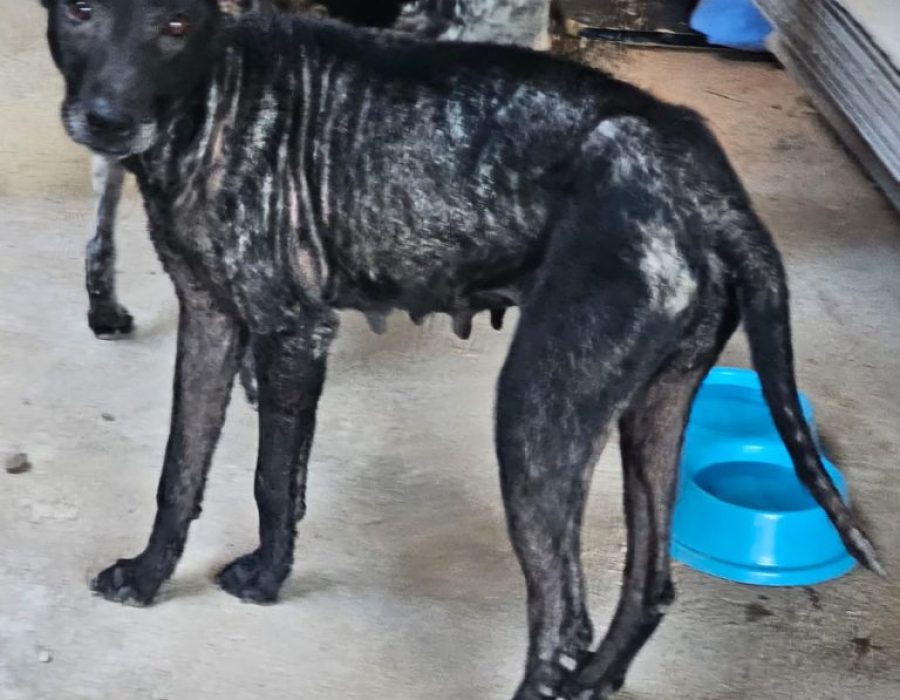 42ad84a0-fb35-4671-bd4c-f673edf4d32a-e1699990436837-768x718