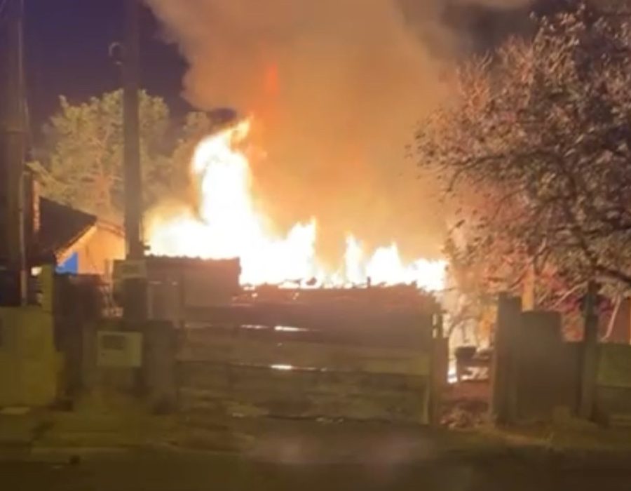 42d1baa4-7f8e-4b90-9438-e26363f68703