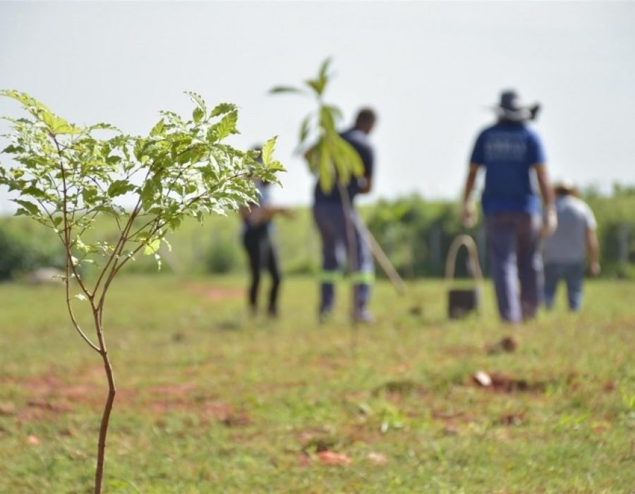 42db82ab425ea7fd12abfd70534d709c