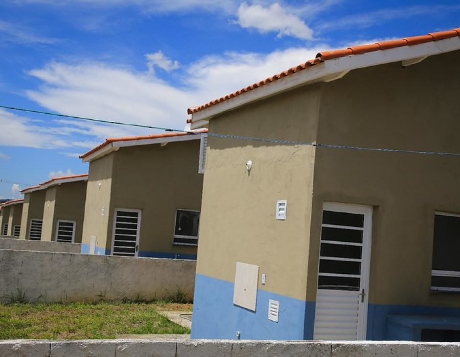 52736068072_cdf8a80f08_c