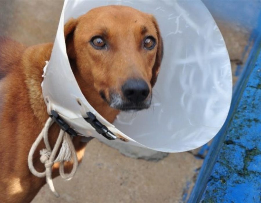 52d19b31205a1bb1c0f5b93eac88b5c3-768x510