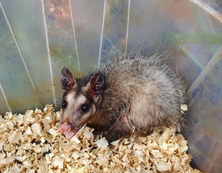 5a679c920aad19ede542057ec448ee74