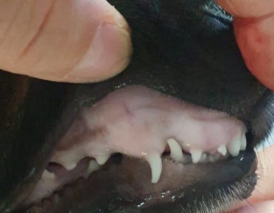 5b5cac6e-2fc5-40a4-b230-ded607fd7cdd