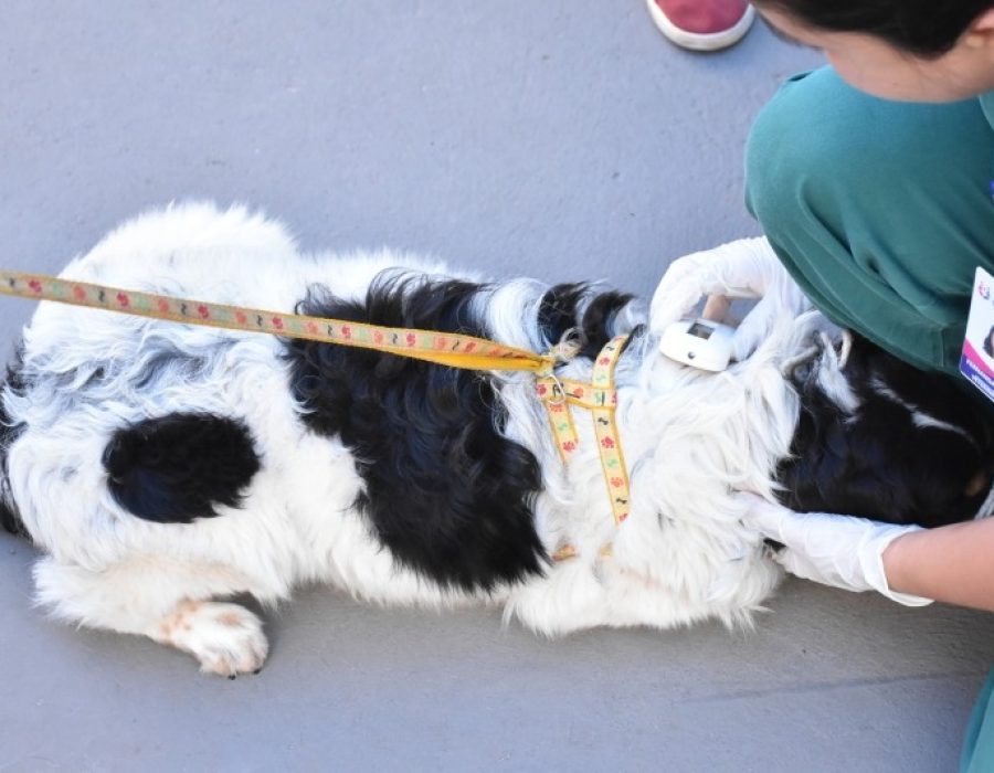 640cfb429cc4615ed9c13c215ec30f2c