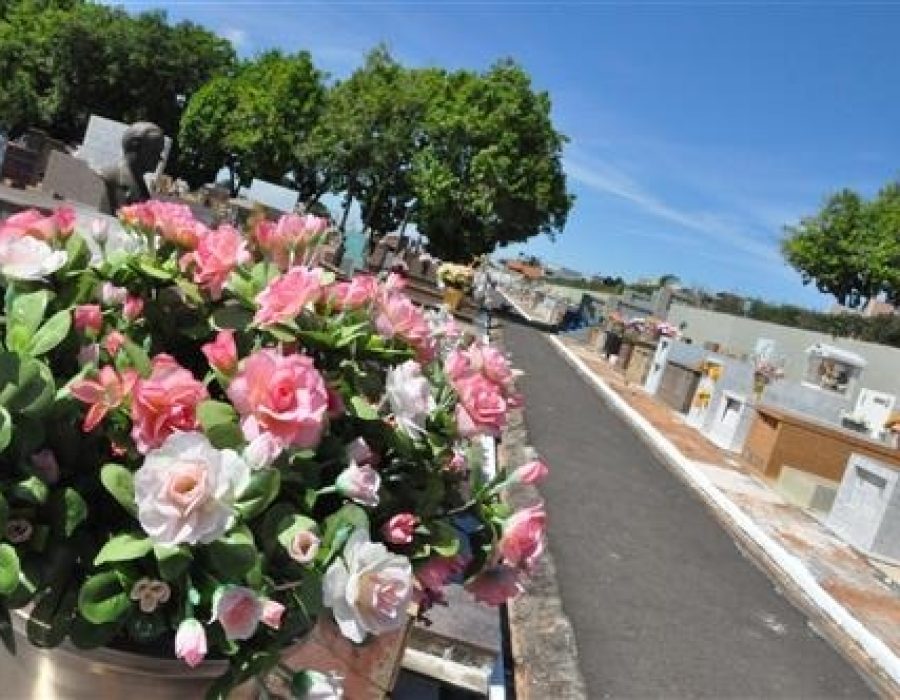 672a63f2b3597c5843d39a920f4faef5