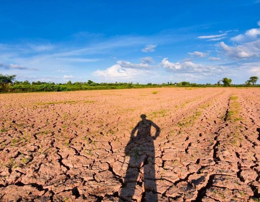 750x553_67223003e75d5ea2cce4127f507b091e