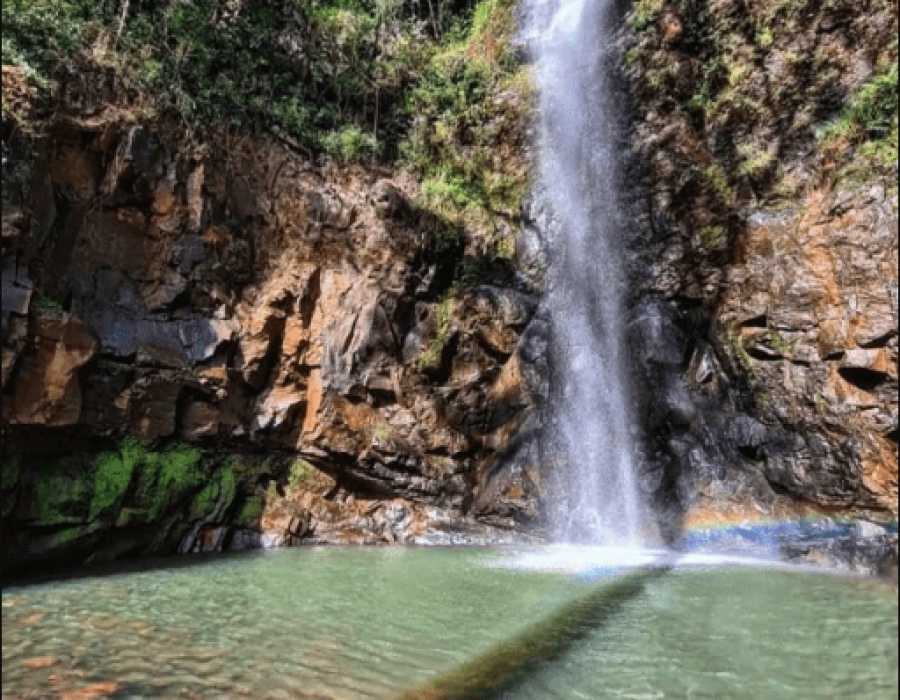 75a73422c93f209651a2b39ae1781469