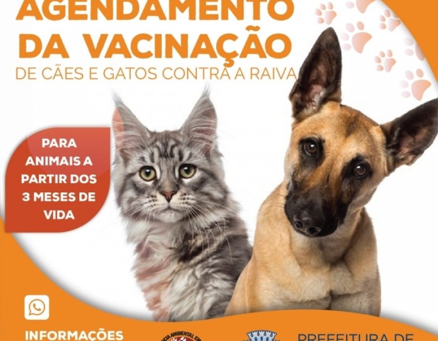 85da152ca8b21903e71f97052344603b