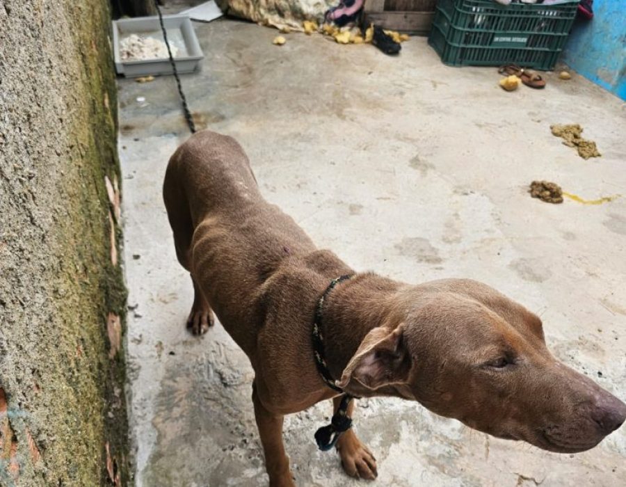 885180f2-242c-4933-b02d-a43dd8d9b2d9-e1708454758459-768x720