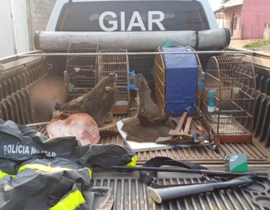 8c8f19e4-73a2-4224-8b1c-5775ce2087fb-768x354