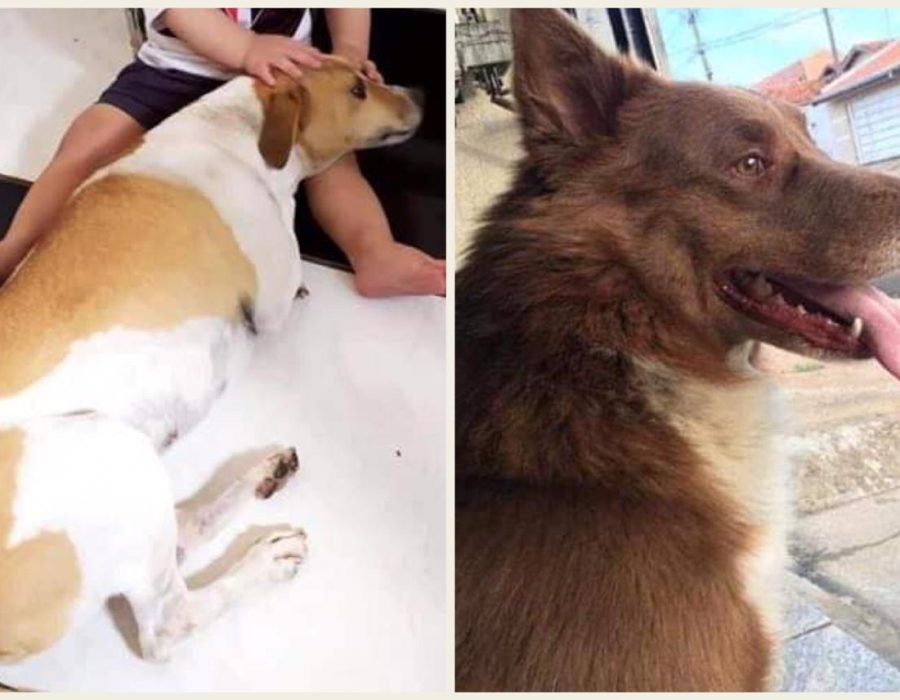 8f012de5-88a0-472f-a5ff-1b1f5ea7ccf6