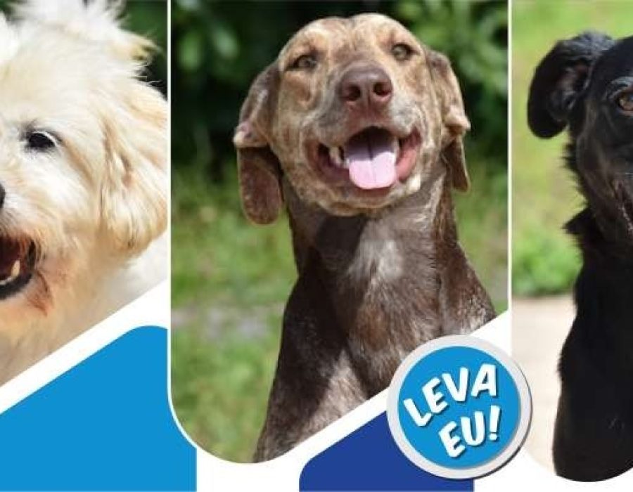 9286eeb1a48d6a5aa378122d0e9b03b8