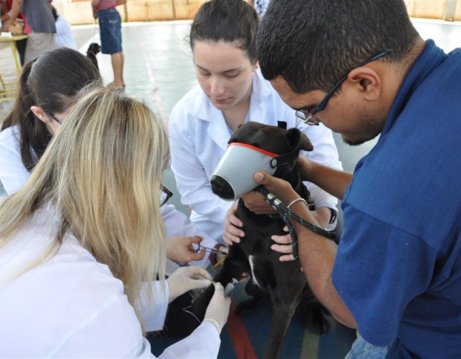 95238599ae375f73257711c2efc37e84