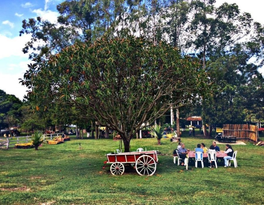 9a4d5167c7bc963bcecb8d2889a9e4cf