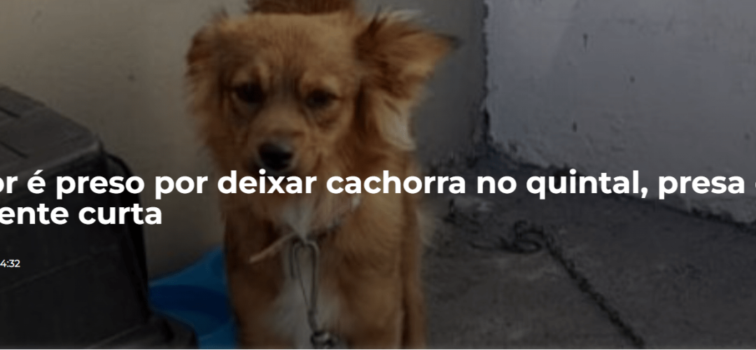 Capturar