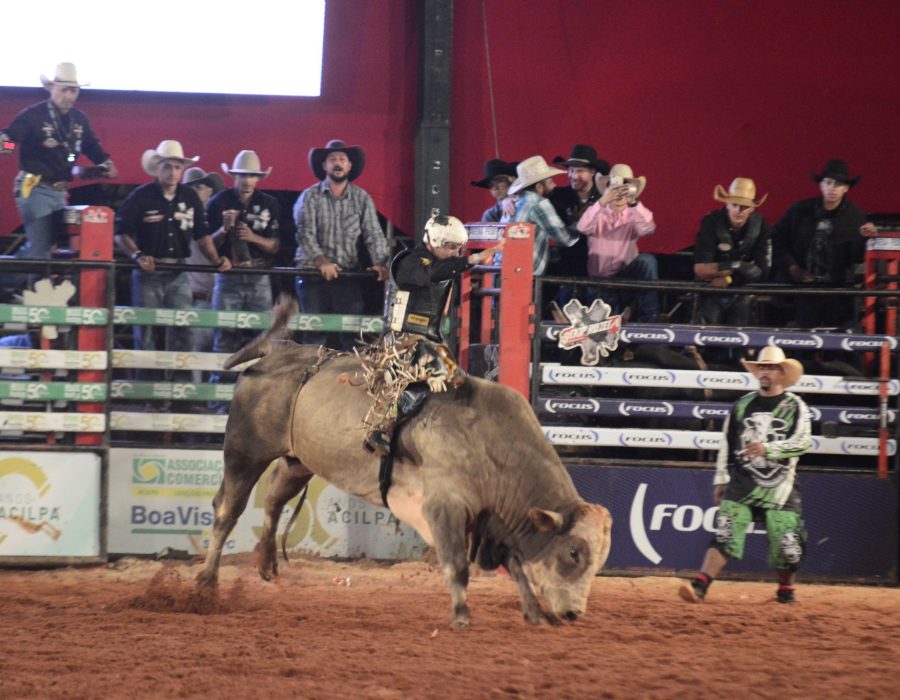 Crédito divulgação (3)