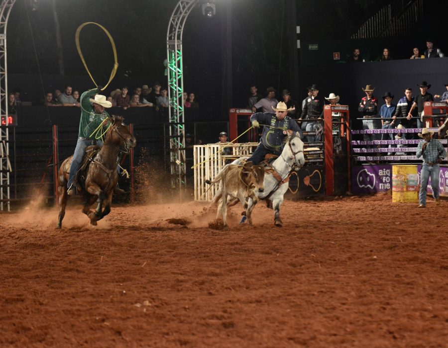 Crédito divulgação Facilpa