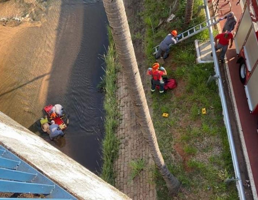 FB_IMG_1603973499476