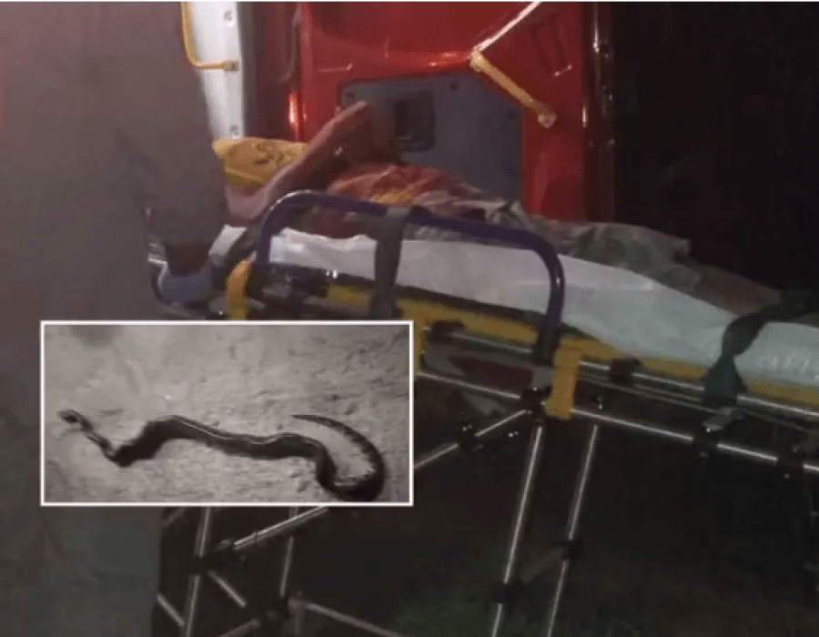 (Foto: Gabriel Delena / Jornal Meio Dia)