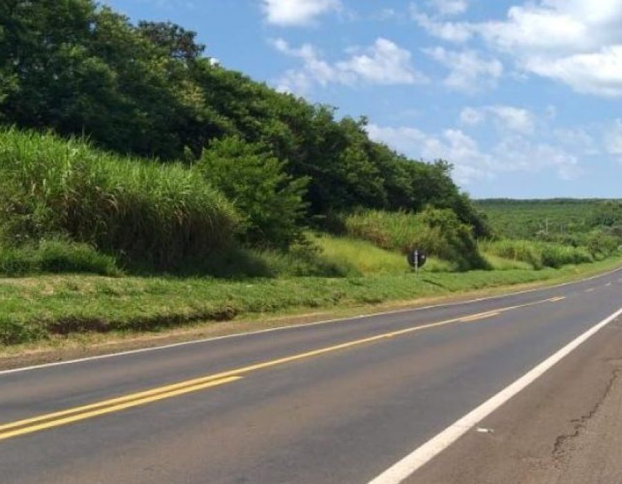 IMG-20220319-WA0160-pm48a2s8xoptuiyou9dob4fikzpfq00uc4ml5zqs94