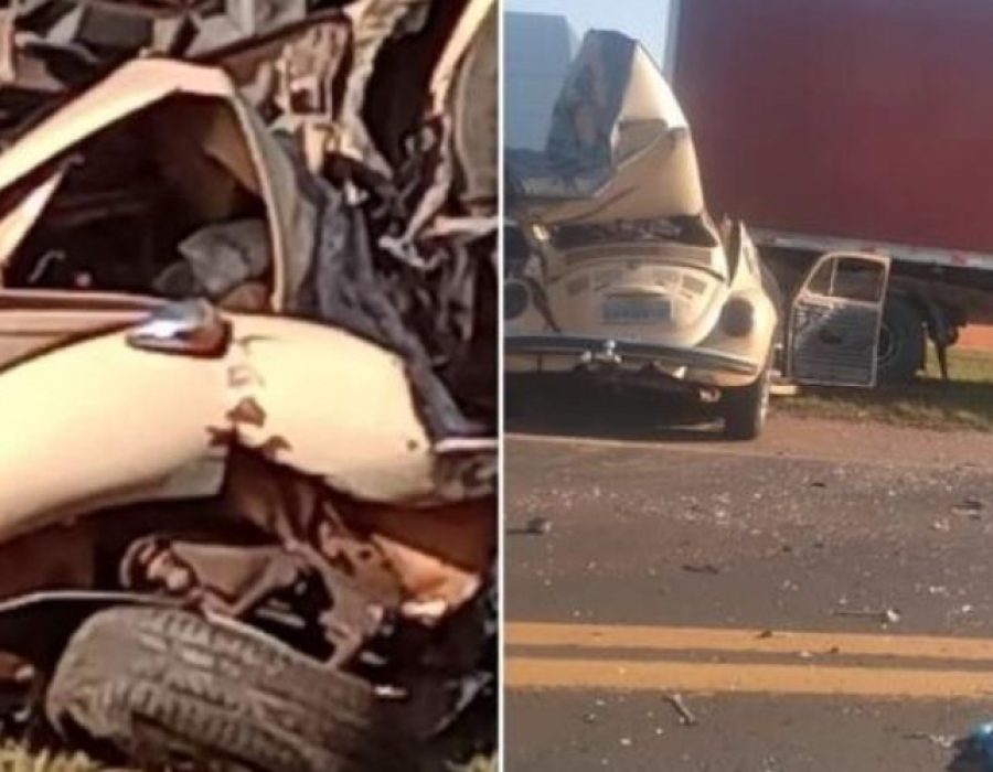 IMG-20220815-WA00991-ptbpgkabiq37x5w1b7r18eq4ia4w386ljwcjqacl8o