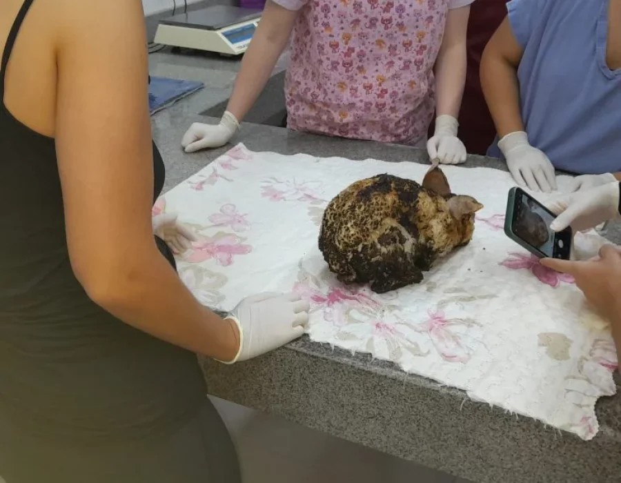 IMG-20240424-WA00051-768x768