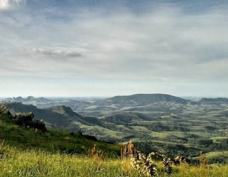 Imagem do WhatsApp de 2024-09-11 à(s) 18.10.42_c9997b2f