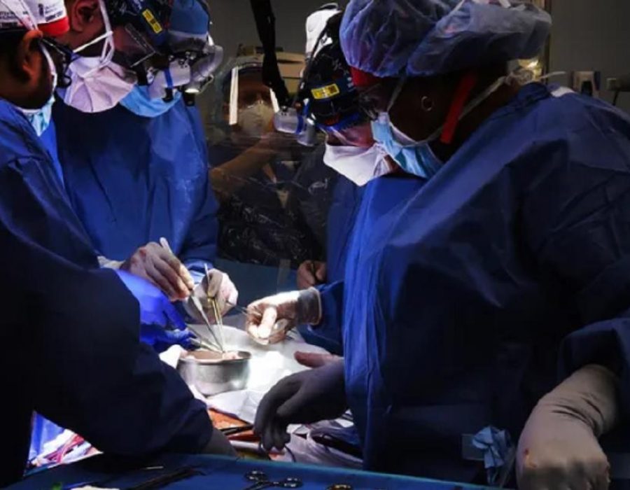 Transplante de coração - Porco - Humano - Cirurgia - History Channel Brasil