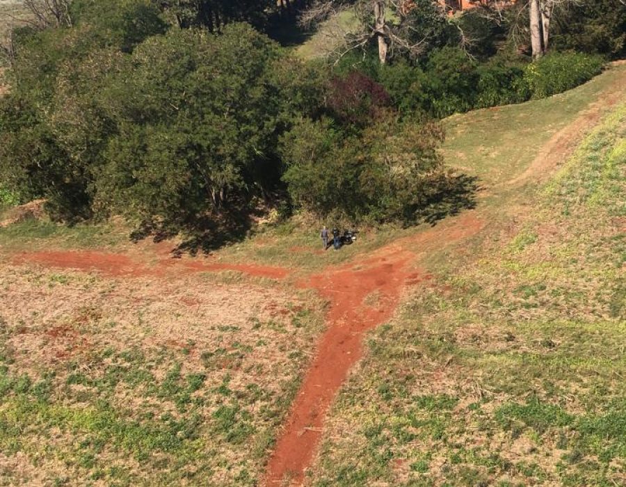 WhatsApp Image 2020-07-31 at 11.47.46