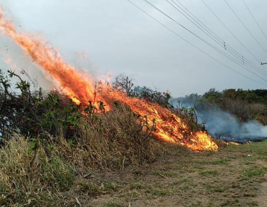 WhatsApp-Image-2021-09-14-at-15.30.14