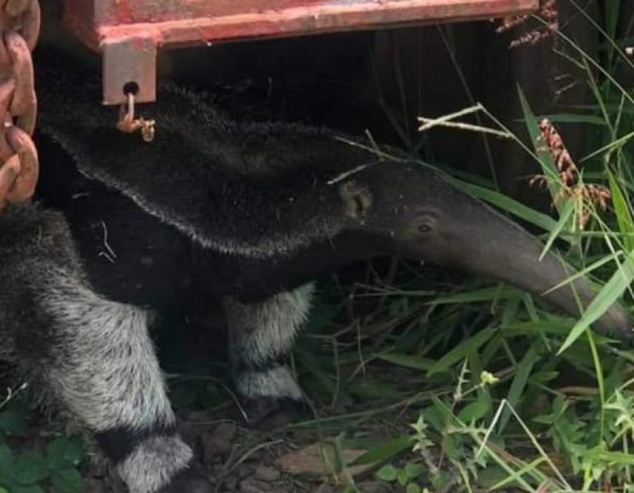 WhatsApp-Image-2022-01-19-at-11.32.16