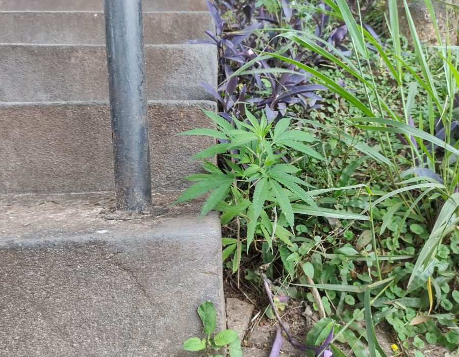 WhatsApp-Image-2023-02-27-at-08.51.35