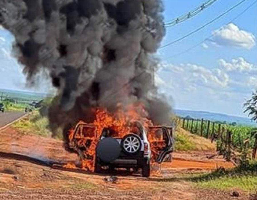 WhatsApp Image 2023-03-03 at 19.10.10