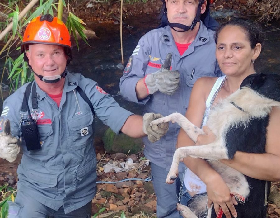 WhatsApp Image 2023-03-08 at 13.08.25