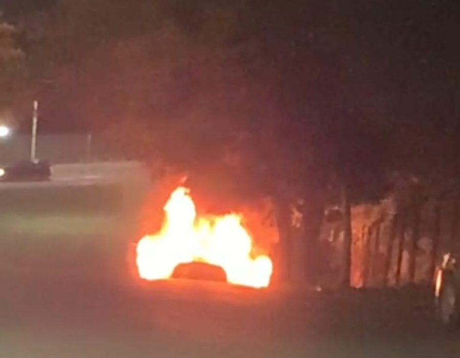 WhatsApp-Image-2023-04-17-at-01.35.34-768x606