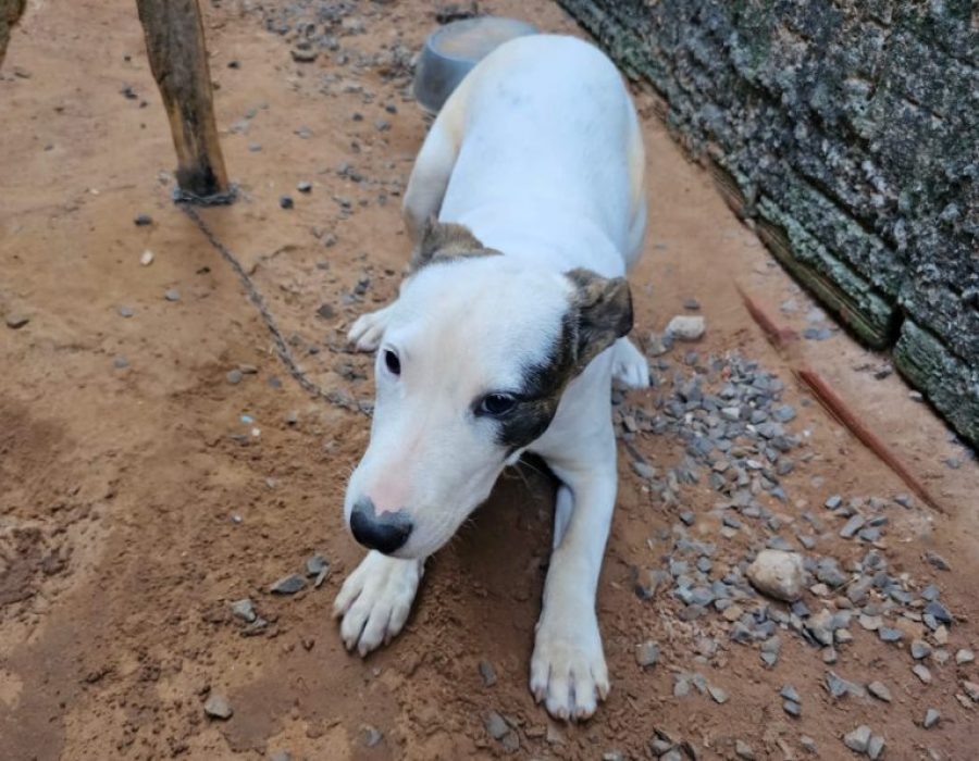 WhatsApp-Image-2023-06-12-at-14.19.25-e1686591724501-768x596