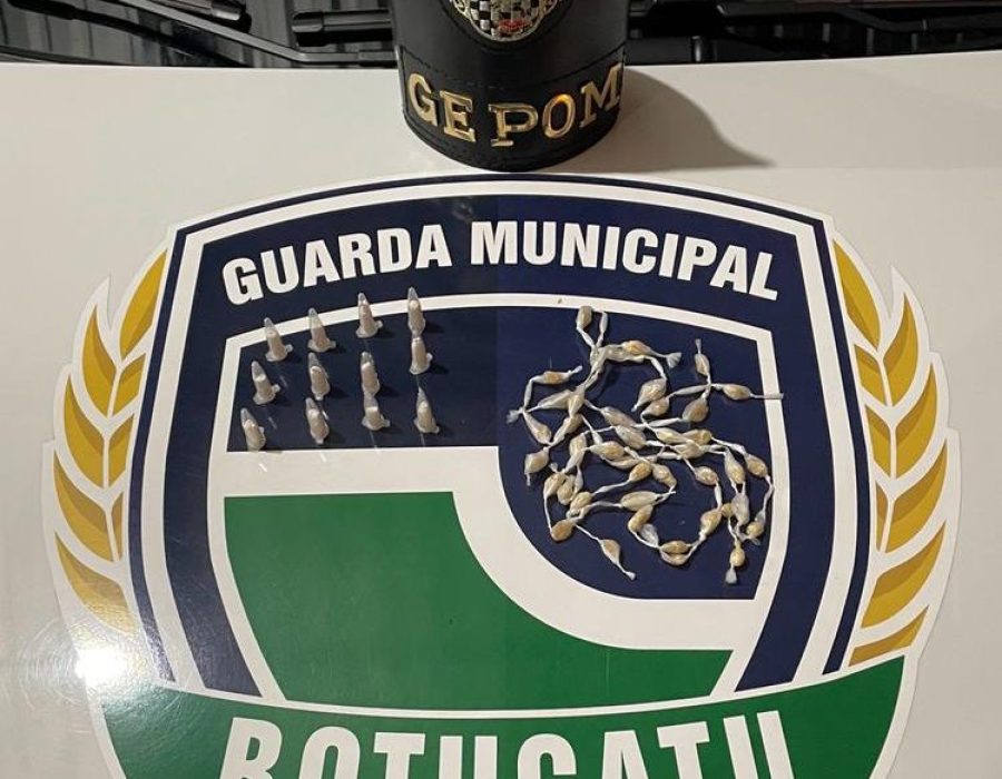 WhatsApp-Image-2023-09-13-at-10.00.19-e1694611144213