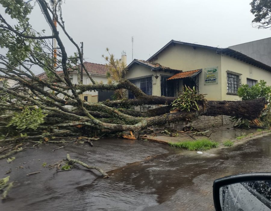 WhatsApp-Image-2023-10-31-at-14.37.08