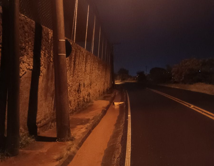 WhatsApp Image 2023-12-07 at 19.39.34