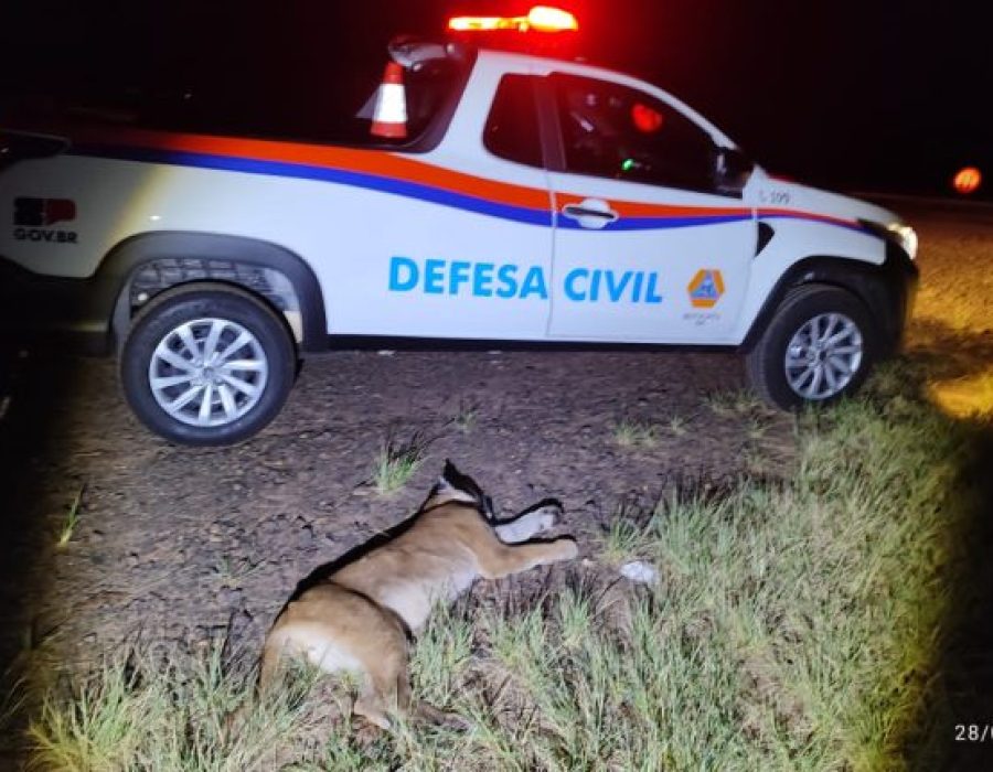 WhatsApp-Image-2024-01-28-at-22.07.34-768x432