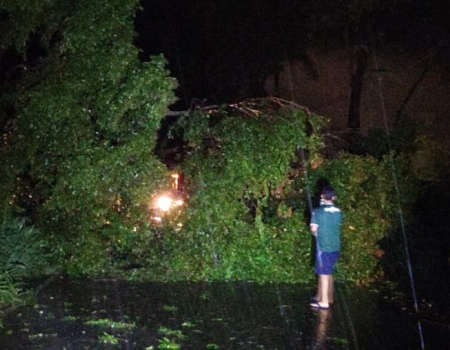 WhatsApp-Image-2024-01-28-at-22.12.39-e1706537210200-768x508