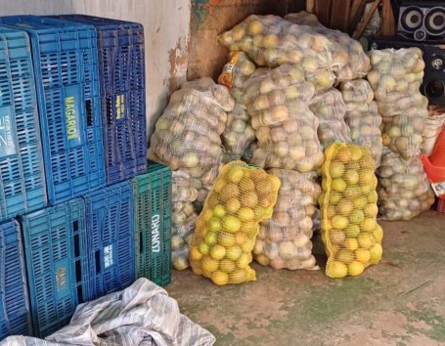 WhatsApp-Image-2024-03-12-at-16.01.44-768x354