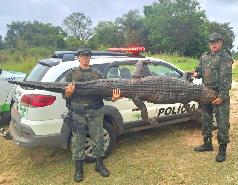 WhatsApp Image 2024-03-28 at 17.46.17