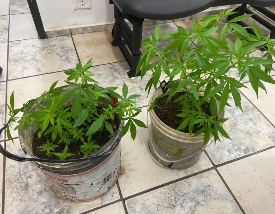 WhatsApp-Image-2024-04-20-at-12.48.54-768x576